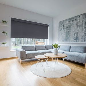 Classic Blackout Roller Shades